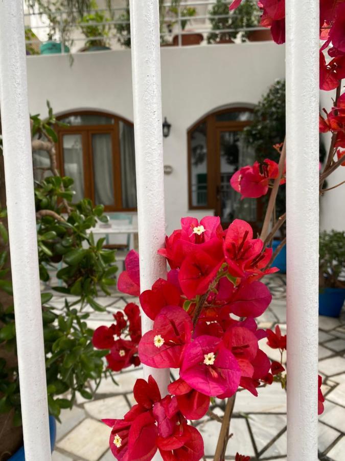 Pallada Boutique Wyspa Tinos Zewnętrze zdjęcie